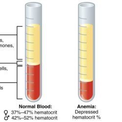 Centrifuged centrifugation layers