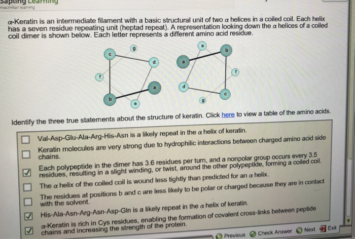 Phrases descriptions keratin collagen following sort fibroin answer solved question alpha each helices constituent problem been has beta silk structure