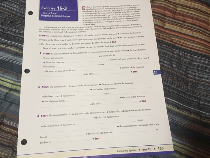 Exercise 16-3 time to trace negative feedback loops