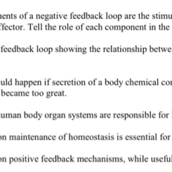 Exercise 16-3 time to trace negative feedback loops