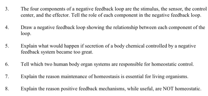 Exercise 16-3 time to trace negative feedback loops